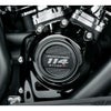 スクリーミンイーグル・ステージインサート 114 ステージ02