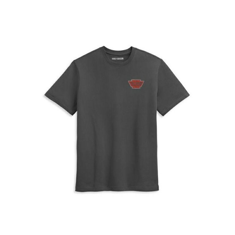 【美品】HARLEY DAVIDSON ハーレーダビットソンイーグルTシャツ M HARLEY-DAVIDSON 純正（ハーレーダビッドソン）メンズ Dickies x H-D