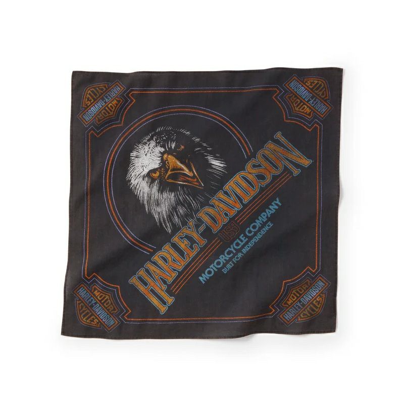 HDX-99222_ハーレーダビッドソン Eagle Bar & Shield メタルウォール